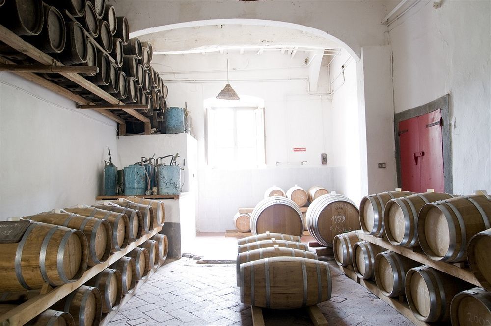 Fattoria Di Bacchereto - Guest House المظهر الخارجي الصورة